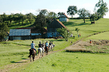 Romania-Transylvania-Carpathian History & Nature Ride